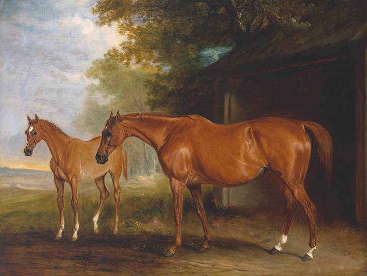 Order Paintings Reproductions Defiance, a Brood Mare, with Reveller, a Foal by John Ferneley Ii | ArtsDot.com