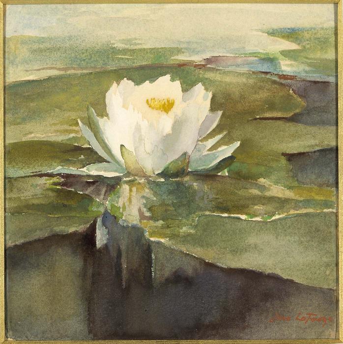 Buy Museum Art Reproductions Water Lily in Sunlight by John La Farge (1835-1910, United States) | ArtsDot.com