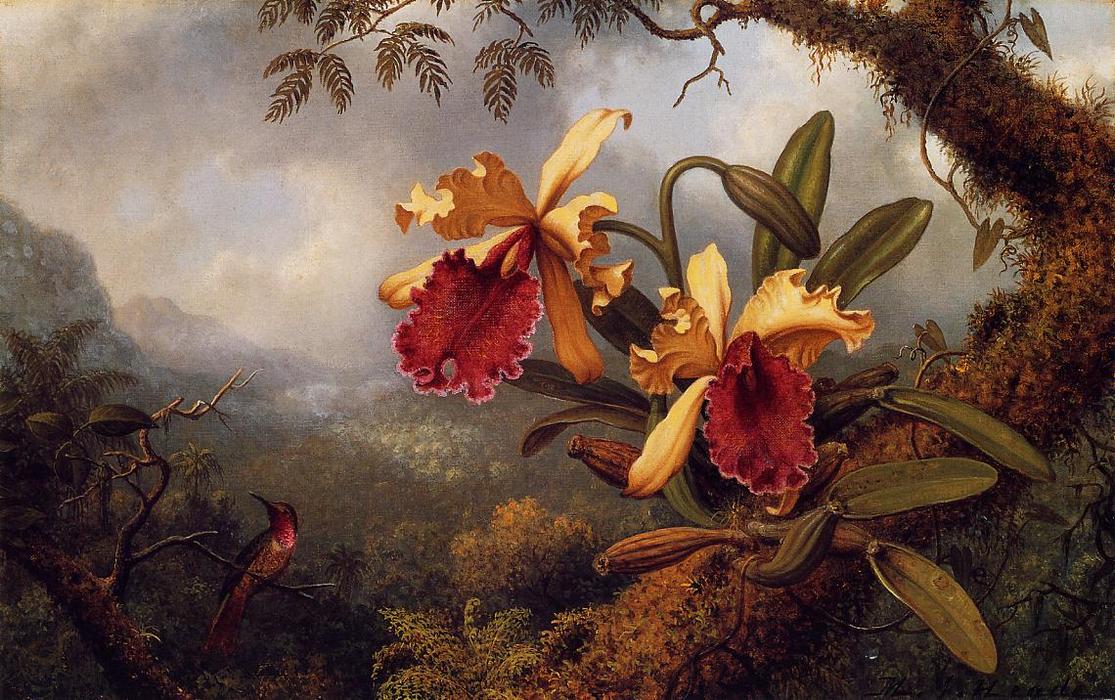 Buy Museum Art Reproductions Orchids and Hummingbird 2 by Martin Johnson Heade (1819-1904, United States) | ArtsDot.com