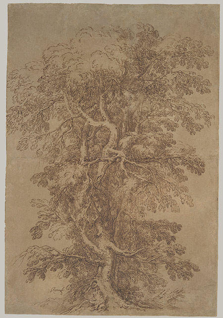 Order Artwork Replica A Large Tree by Salvator Rosa (1615-1673, Italy) | ArtsDot.com