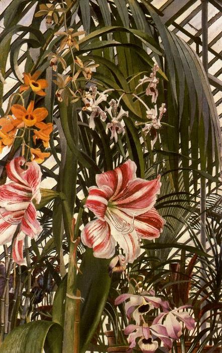 Orchids, Lilies, Palms by Stanley Spencer Stanley Spencer | ArtsDot.com