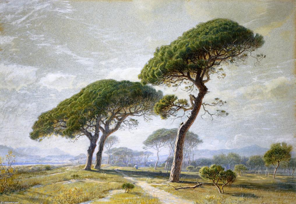 Buy Museum Art Reproductions View of Cannes with Parasol Pines by William Stanley Haseltine (1835-1900, United States) | ArtsDot.com