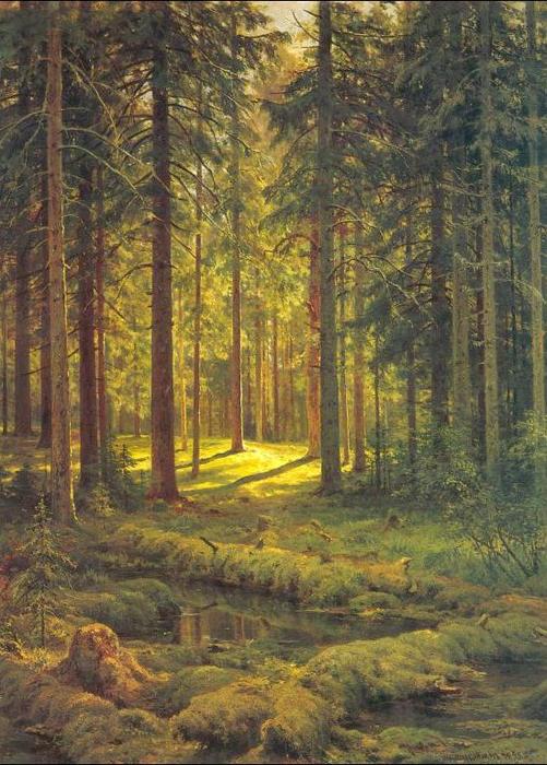 Order Oil Painting Replica Coniferous forest. Sunny day, 1895 by Ivan Ivanovich Shishkin (1832-1898, Russia) | ArtsDot.com
