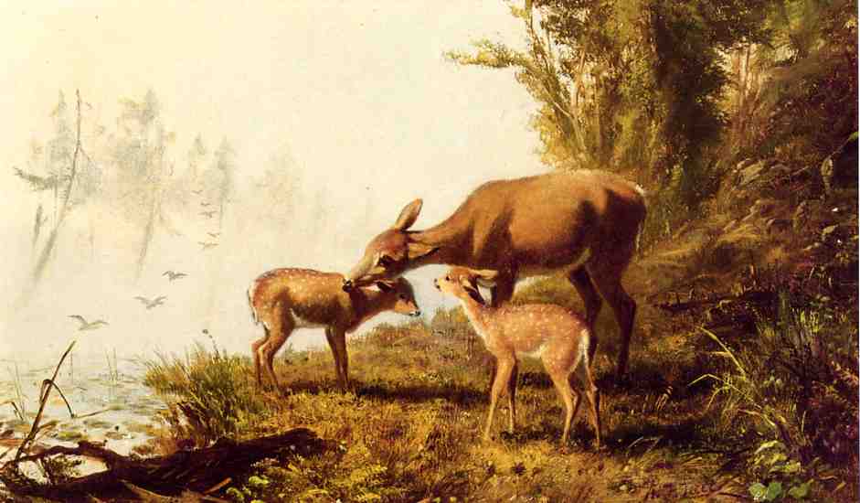 Order Paintings Reproductions Deer in the Woods by Arthur Fitzwilliam Tait (1819-1905, United Kingdom) | ArtsDot.com