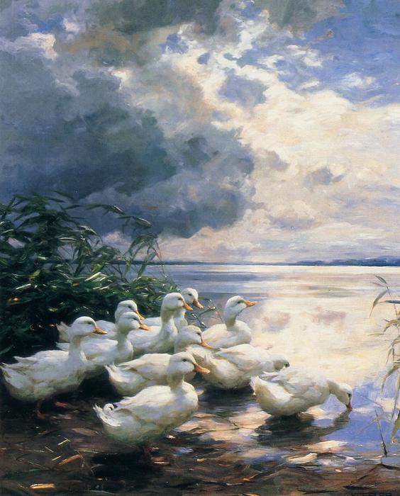 Order Oil Painting Replica Ducks in the Morning, 1910 by Alexander Max Koeste (1864-1932, Germany) | ArtsDot.com