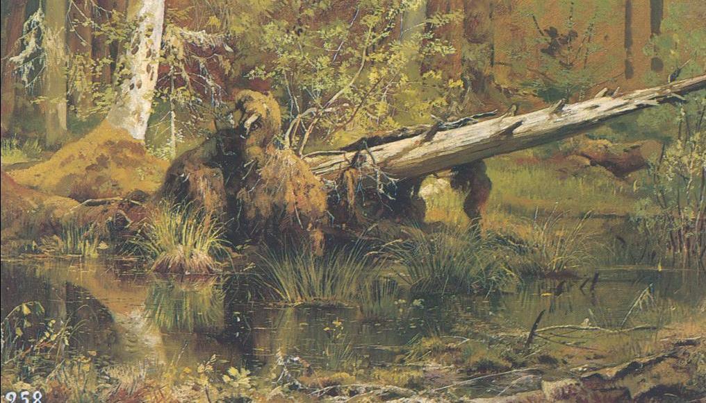 Order Paintings Reproductions Forest (etude), 1888 by Ivan Ivanovich Shishkin (1832-1898, Russia) | ArtsDot.com