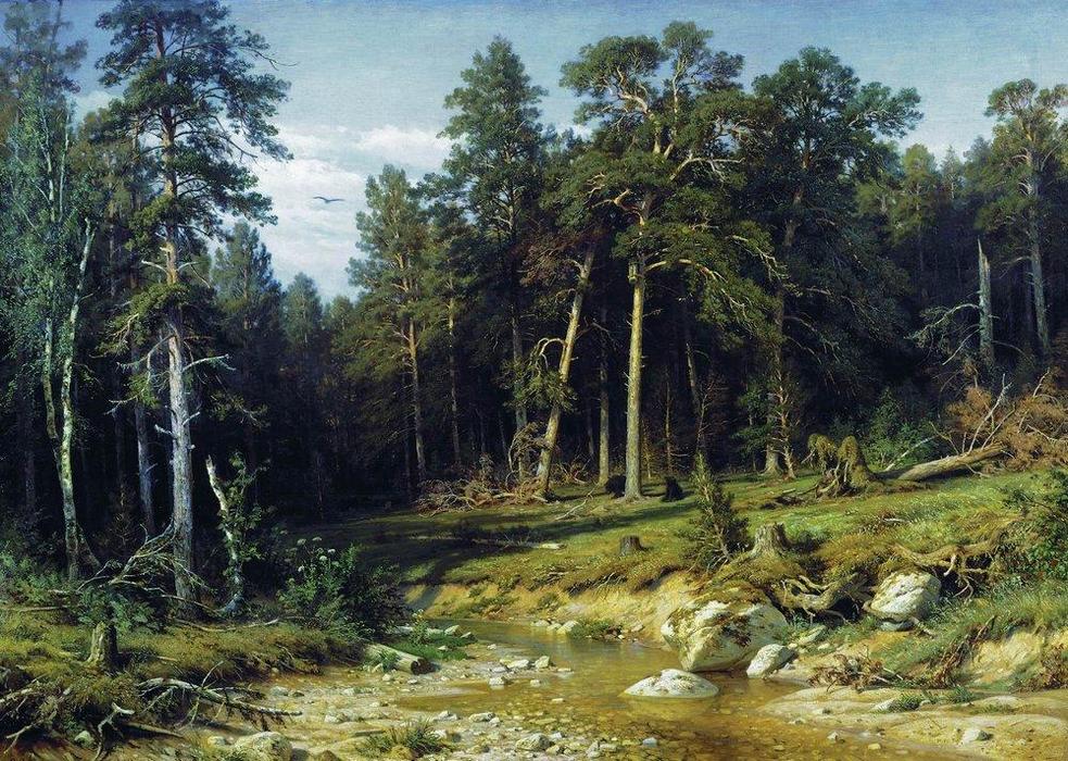 Order Oil Painting Replica Pine Forest in Vyatka Province, 1872 by Ivan Ivanovich Shishkin (1832-1898, Russia) | ArtsDot.com
