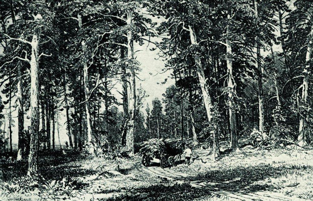 Buy Museum Art Reproductions Forest, 1876 by Ivan Ivanovich Shishkin (1832-1898, Russia) | ArtsDot.com