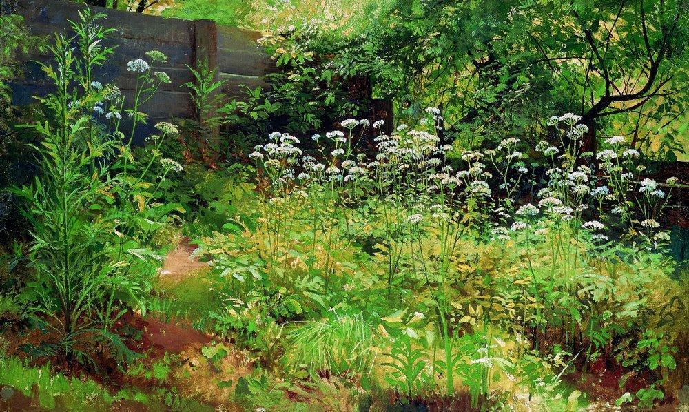 Order Paintings Reproductions Goutweed-grass. Pargolovo, 1885 by Ivan Ivanovich Shishkin (1832-1898, Russia) | ArtsDot.com
