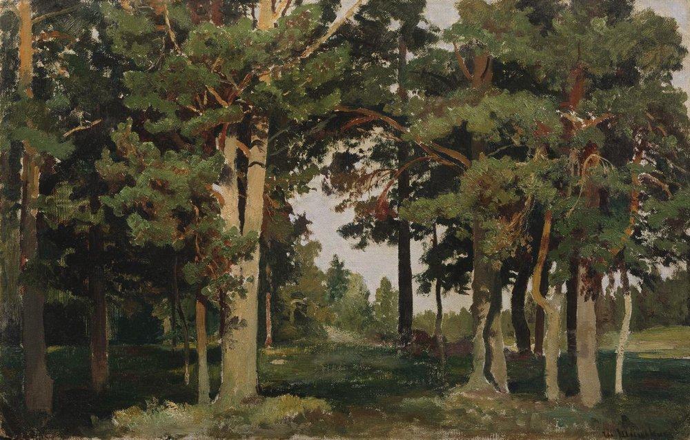 Order Paintings Reproductions Forest, 1893 by Ivan Ivanovich Shishkin (1832-1898, Russia) | ArtsDot.com