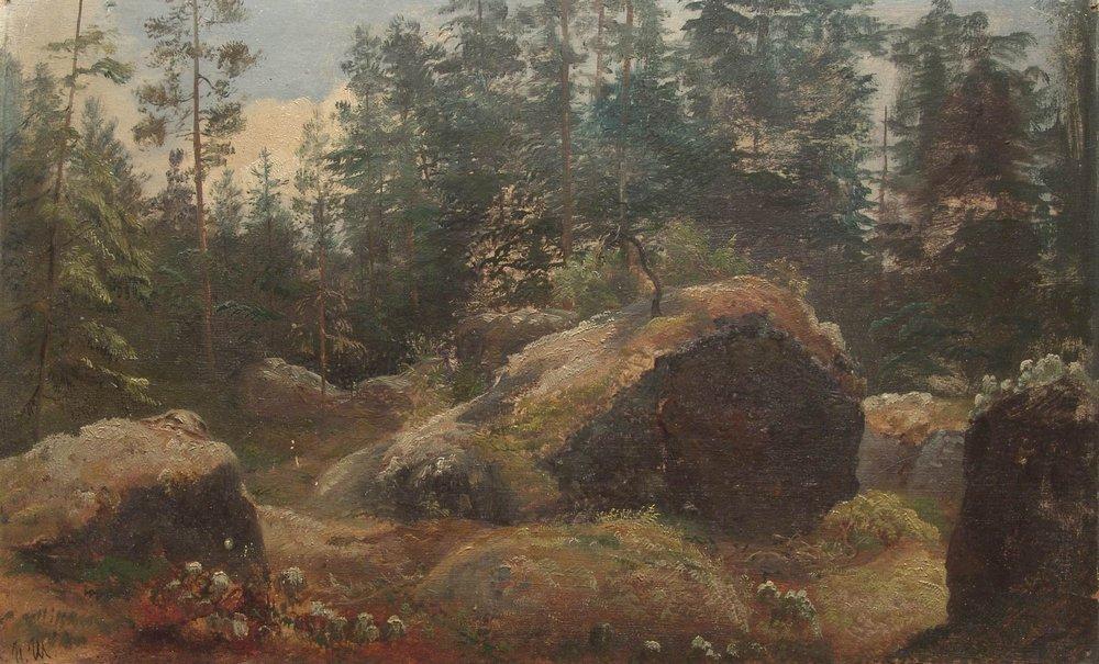 Order Oil Painting Replica Boulders in forest by Ivan Ivanovich Shishkin (1832-1898, Russia) | ArtsDot.com