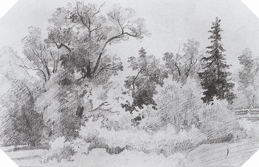 Order Paintings Reproductions Edge of the Forest (8) by Ivan Ivanovich Shishkin (1832-1898, Russia) | ArtsDot.com