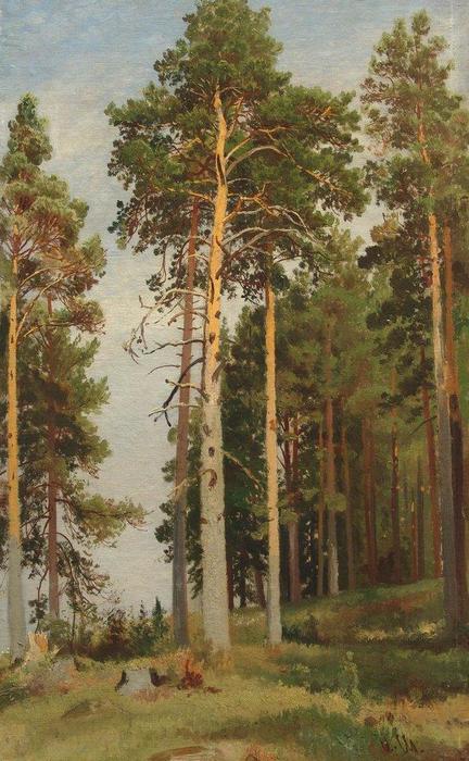 Order Oil Painting Replica The Sun lit Pines by Ivan Ivanovich Shishkin (1832-1898, Russia) | ArtsDot.com