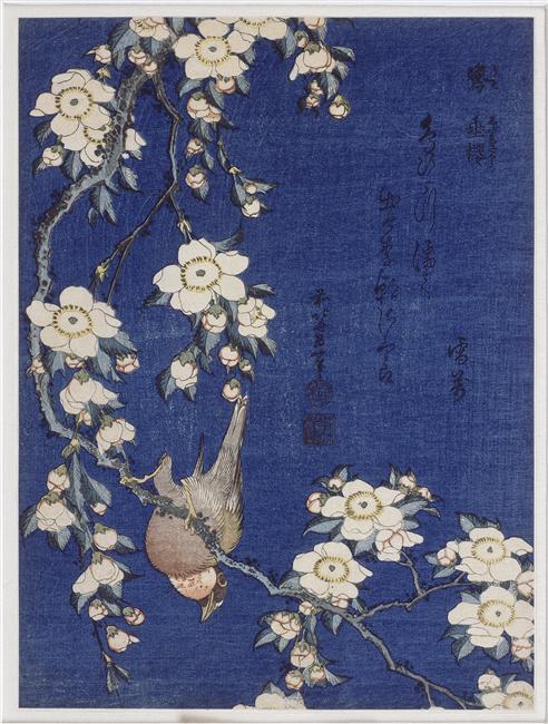 Order Paintings Reproductions Bullfinch and weeping cherry blossoms, 1834 by Katsushika Hokusai (1760-1849, Japan) | ArtsDot.com