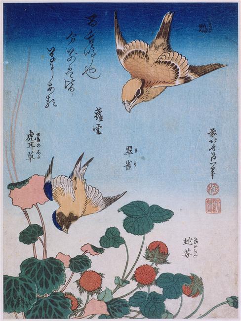 Order Artwork Replica Swallow and begonia and strawberry pie, 1834 by Katsushika Hokusai (1760-1849, Japan) | ArtsDot.com