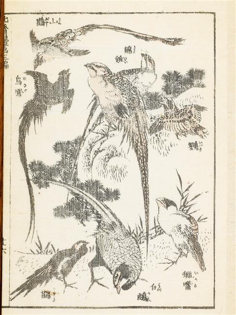 Order Oil Painting Replica Manga (8) by Katsushika Hokusai (1760-1849, Japan) | ArtsDot.com