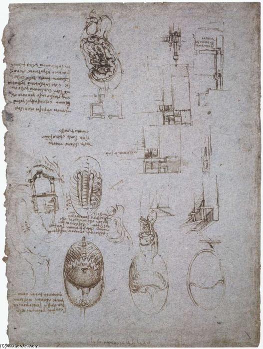 Buy Museum Art Reproductions Studies of the Villa Melzi and anatomical study, 1513 by Leonardo Da Vinci (1452-1519, Italy) | ArtsDot.com