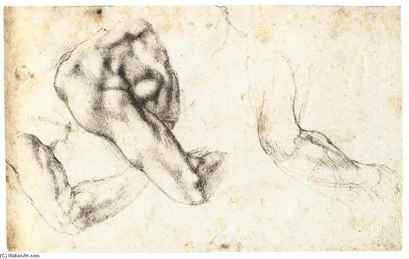 Order Art Reproductions Three Studies of a Left Arm and Shoulder, 1524 by Michelangelo Buonarroti (1475-1564, Italy) | ArtsDot.com