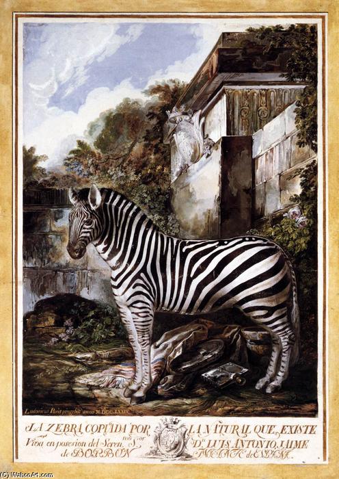 Order Art Reproductions Zebra by Luis Paret Y Alcázar (1746-1799) | ArtsDot.com