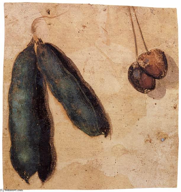 Ordinare Riproduzioni Di Quadri Peperoni e Ciliegie di Simone Peterzano (1540-1596, Italy) | ArtsDot.com