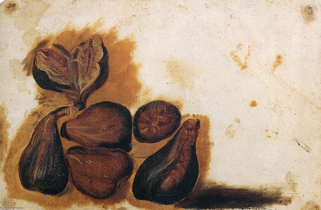 Ordinare Stampe Di Qualità Del Museo Ancora vita di Figs di Simone Peterzano (1540-1596, Italy) | ArtsDot.com