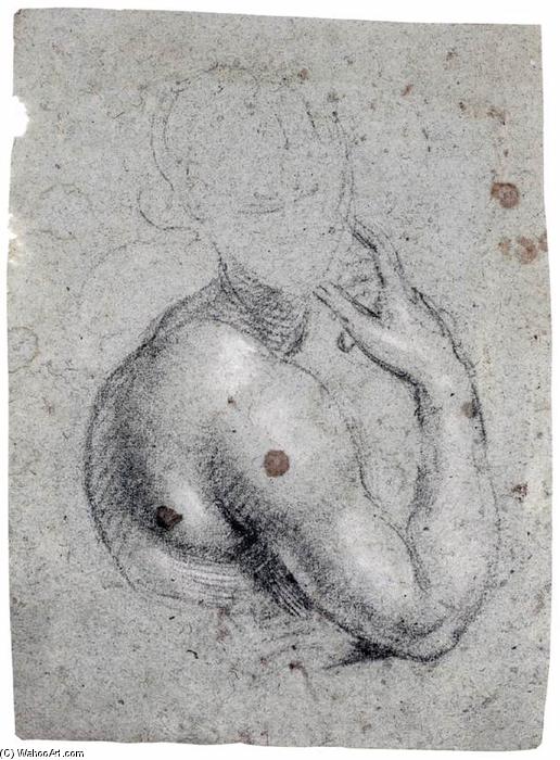 Compra Riproduzioni D'arte Del Museo Studio di una figura di mezza lunghezza, 1580 di Simone Peterzano (1540-1596, Italy) | ArtsDot.com