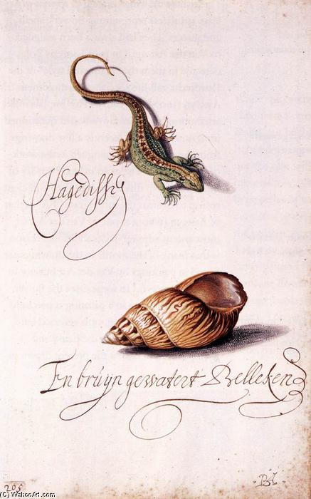 顺序 手工油畫 蜥蜴和贝壳。, 1620 通过 Balthasar Van Der Ast (1593-1657, Netherlands) | ArtsDot.com