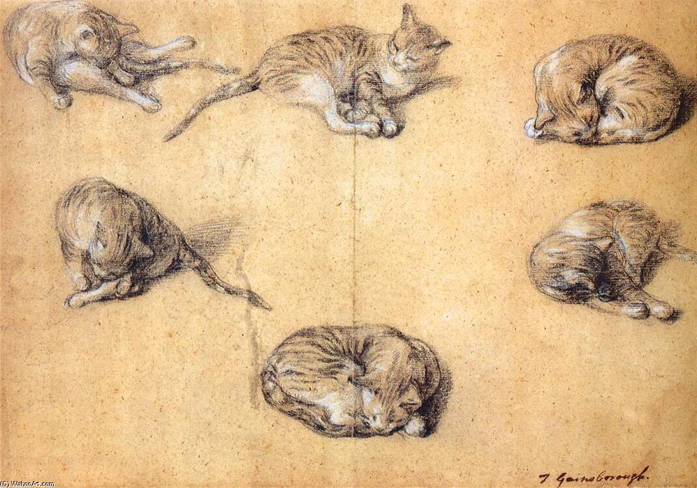 Order Art Reproductions Six studies of a cat, 1765 by Thomas Gainsborough (1727-1788, United Kingdom) | ArtsDot.com