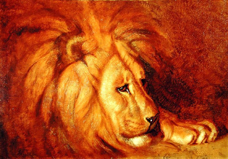 Order Artwork Replica Lion at Rest by Abbott Handerson Thayer (1849-1921, United States) | ArtsDot.com