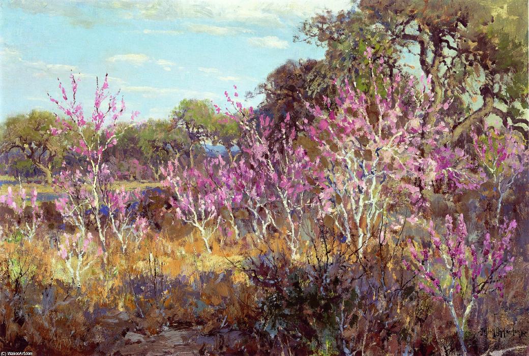Buy Museum Art Reproductions Redbud Tree in Bloom at Leon Springs, San Antonio, 1921 by Robert Julian Onderdonk (1880-1922, United States) | ArtsDot.com