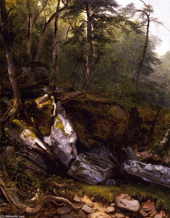 Order Art Reproductions Study from Nature: Rocks and Trees in the Catskills, New York, 1856 by Asher Brown Durand (1796-1886, United States) | ArtsDot.com