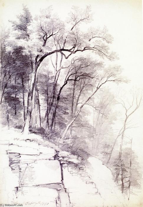 Order Art Reproductions Study of Trees and Rocks, Kaaterskill Clove, New York, 1850 by Asher Brown Durand (1796-1886, United States) | ArtsDot.com