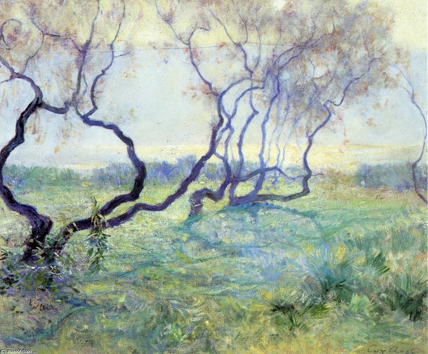 Buy Museum Art Reproductions Tamarisk Trees in Early Sunlight by Guy Orlando Rose (1867-1925, United States) | ArtsDot.com