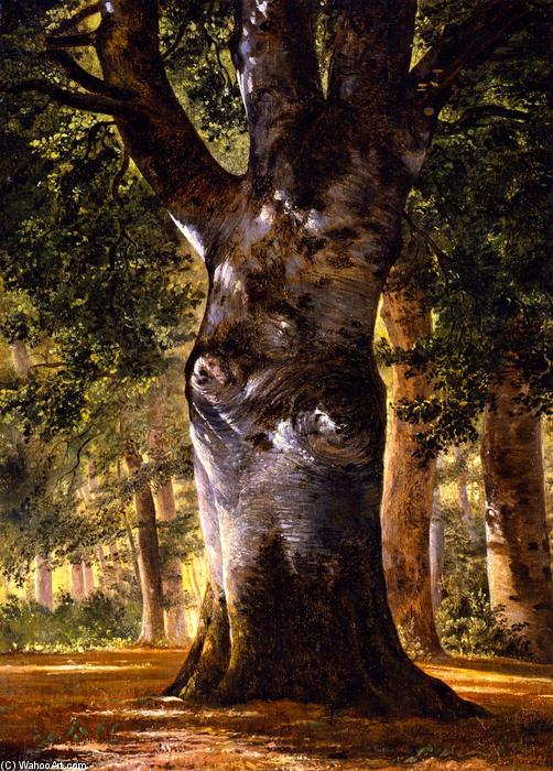 Order Paintings Reproductions Trunk of a Beech Tree, 1850 by Alexandre Calame (1810-1864, Switzerland) | ArtsDot.com
