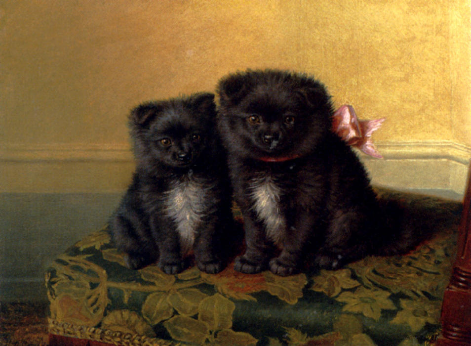 Order Paintings Reproductions Two chow pups seated on a chair in an interior by Horatio Henry Couldery (1832-1893, United Kingdom) | ArtsDot.com