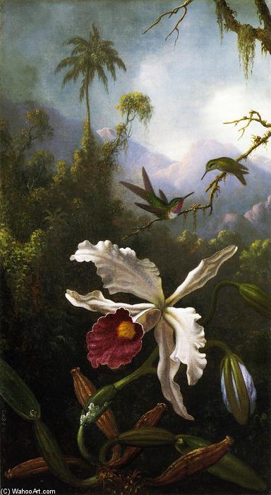 Order Paintings Reproductions Two Hummingbirds above a White Orchid, 1870 by Martin Johnson Heade (1819-1904, United States) | ArtsDot.com