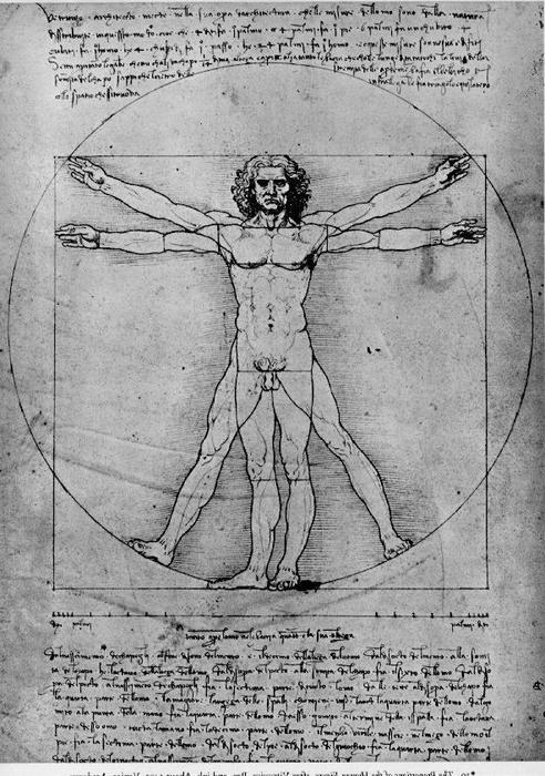 Order Artwork Replica Vitruvian Man, Study of proportions, from Vitruvius`s De Architectura, 1492 by Leonardo Da Vinci (1452-1519, Italy) | ArtsDot.com