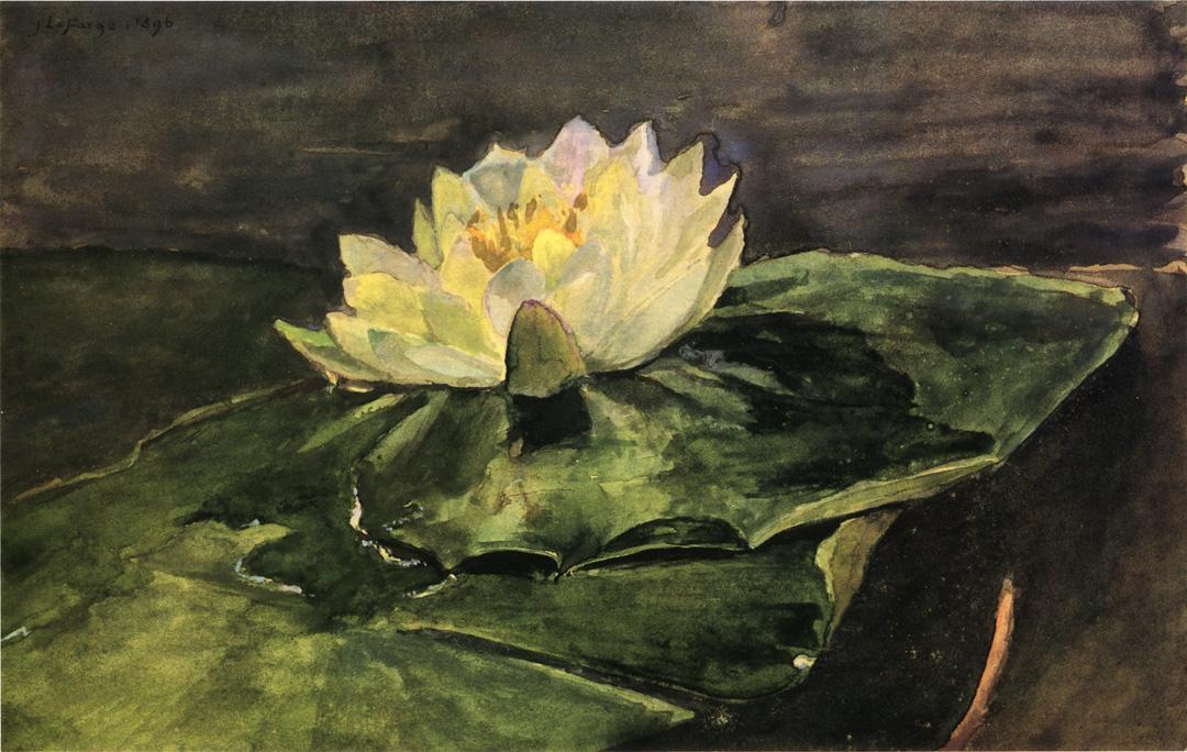 Order Paintings Reproductions Water Lily, 1896 by John La Farge (1835-1910, United States) | ArtsDot.com