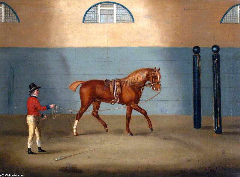 Order Artwork Replica A Chestnut Horse On A Lunge by Francis Sartorius Ii (John Francis Sartorius) (1734-1804, United Kingdom) | ArtsDot.com