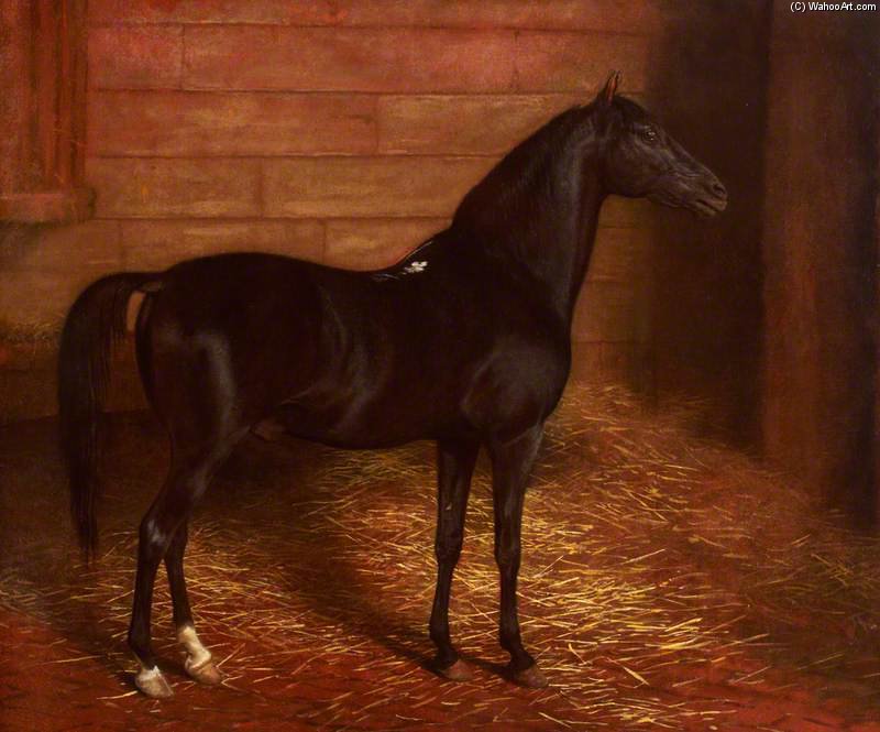 Order Artwork Replica Arab Horse, The Second Sire by Jacques Laurent Agasse (1767-1849, Switzerland) | ArtsDot.com