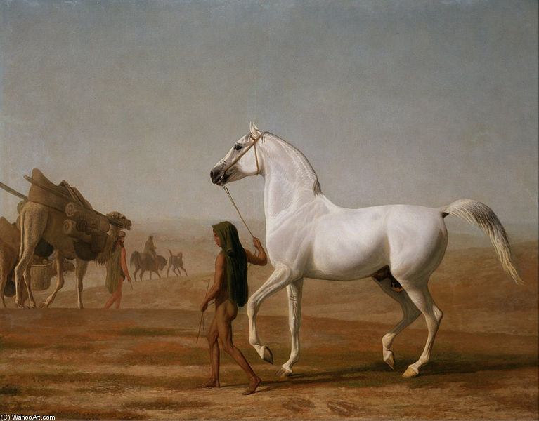 Order Oil Painting Replica The Wellesley Grey Arabian Led Through The Desert by Jacques Laurent Agasse (1767-1849, Switzerland) | ArtsDot.com