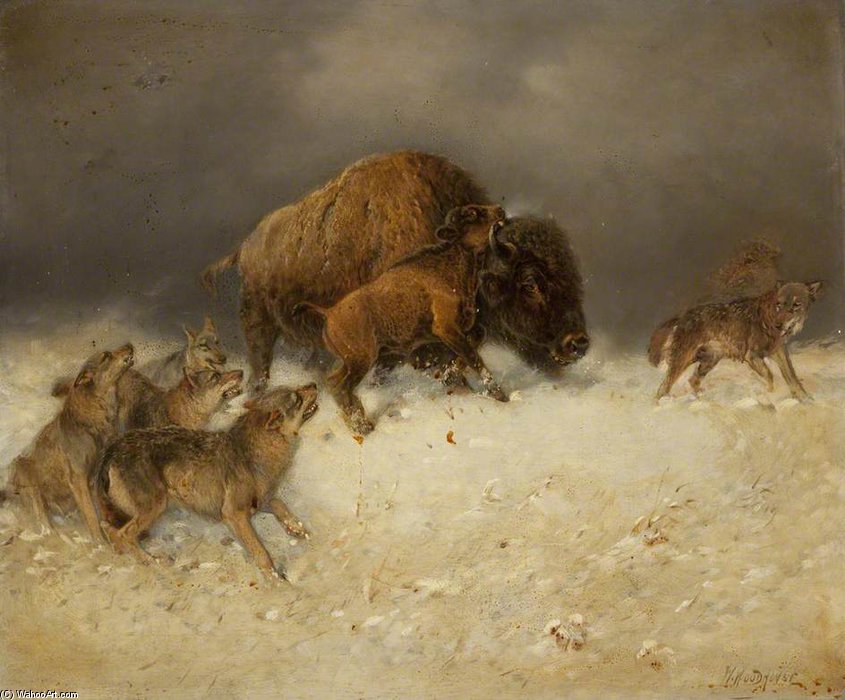 Order Paintings Reproductions Bison And Wolves by William Arnold Woodhouse (1857-1939, United Kingdom) | ArtsDot.com
