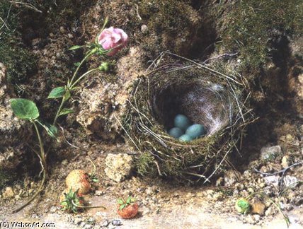 Order Art Reproductions Still Life With Bird`s Nest by William Henry Hunt (1827-1910, United Kingdom) | ArtsDot.com