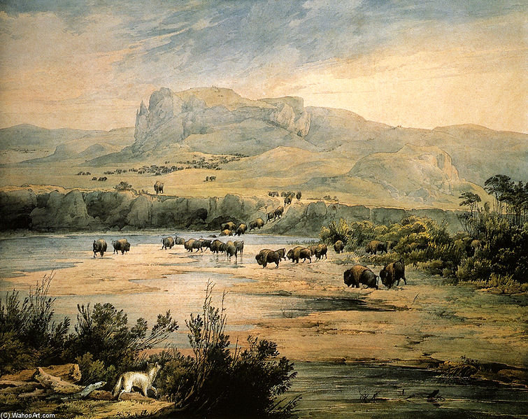 Order Art Reproductions Landscape With Herd Of Buffalo On The Upper Missouri by Karl Bodmer (1809-1893, Switzerland) | ArtsDot.com
