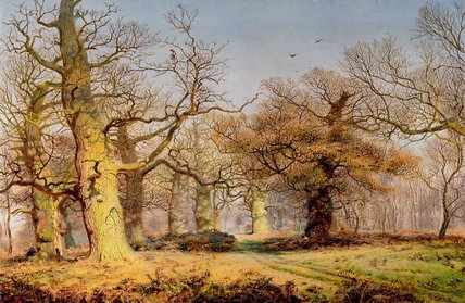 Order Oil Painting Replica Oak Trees In Sherwood Forest by Andrew Maccallum (1821-1902, United Kingdom) | ArtsDot.com