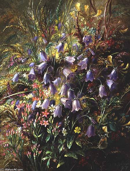 Order Oil Painting Replica Harebells ^ Other Woodland Flowers ^ Grasses by Albrecht Durer (1471-1528, Italy) | ArtsDot.com