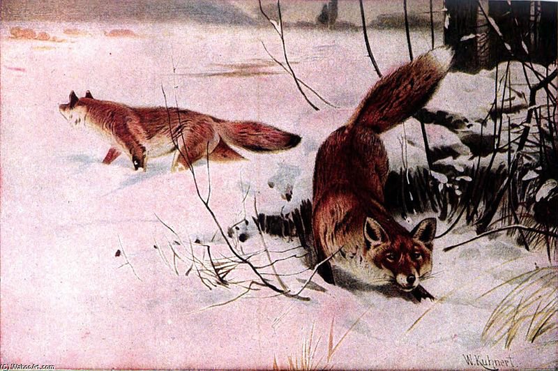 Buy Museum Art Reproductions Drawing Of Two Red Foxes In A Snowy Field by Friedrich Wilhelm Kuhnert (1865-1926, Poland) | ArtsDot.com