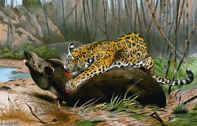 Order Oil Painting Replica Jaguar Killing Tapir by Friedrich Wilhelm Kuhnert (1865-1926, Poland) | ArtsDot.com