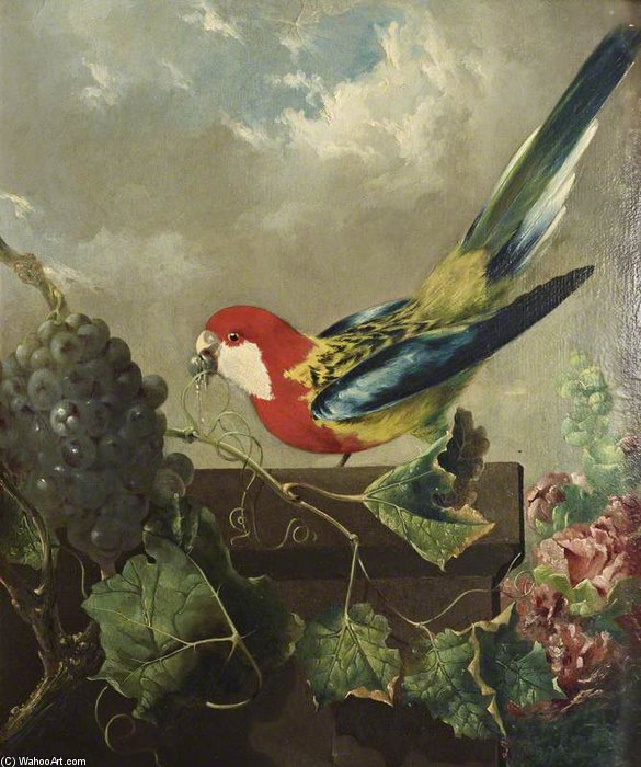 Order Art Reproductions Parakeet With Grapes And Hollyhocks by George Philip Reinagle (1749-1833) | ArtsDot.com