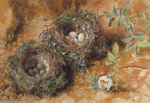 Buy Museum Art Reproductions Still Life With Birds` Nests by William Henry Hunt (1827-1910, United Kingdom) | ArtsDot.com